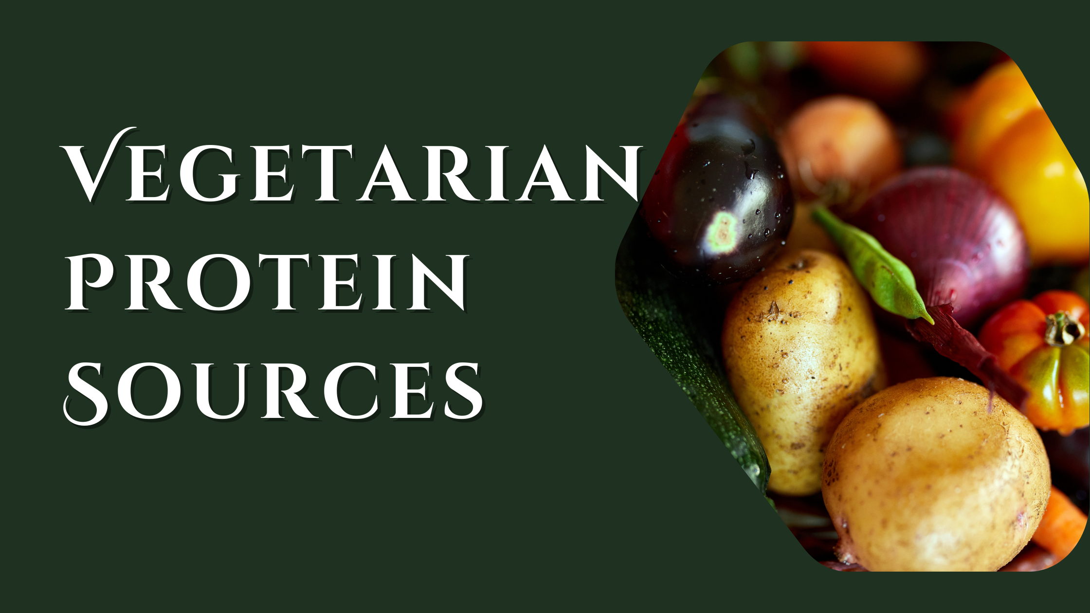 Vegetarian Protein Sources
