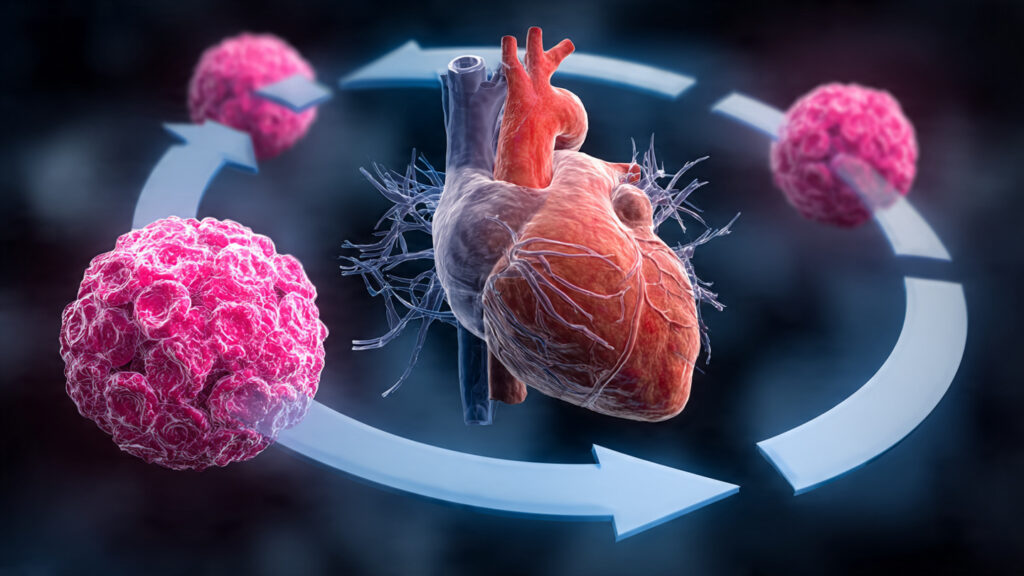 Cancer Treatment Heart Damage Cycle